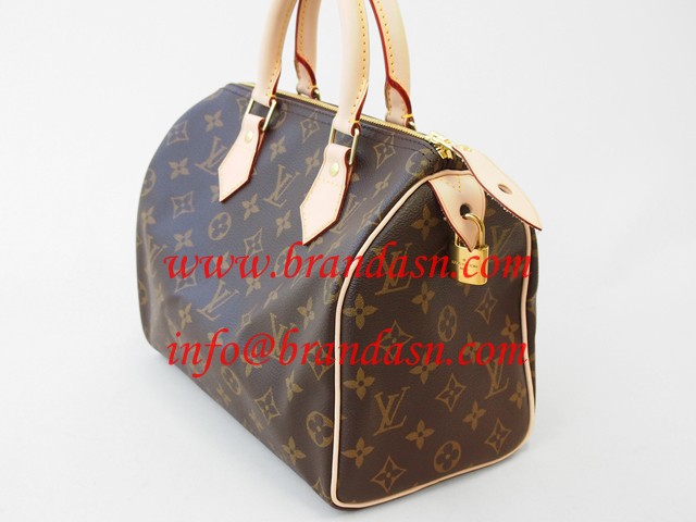 CEBg LOUISVUITTON mO@Xs[fB25 M41528